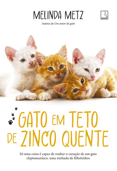 Gato em teto de zinco quente