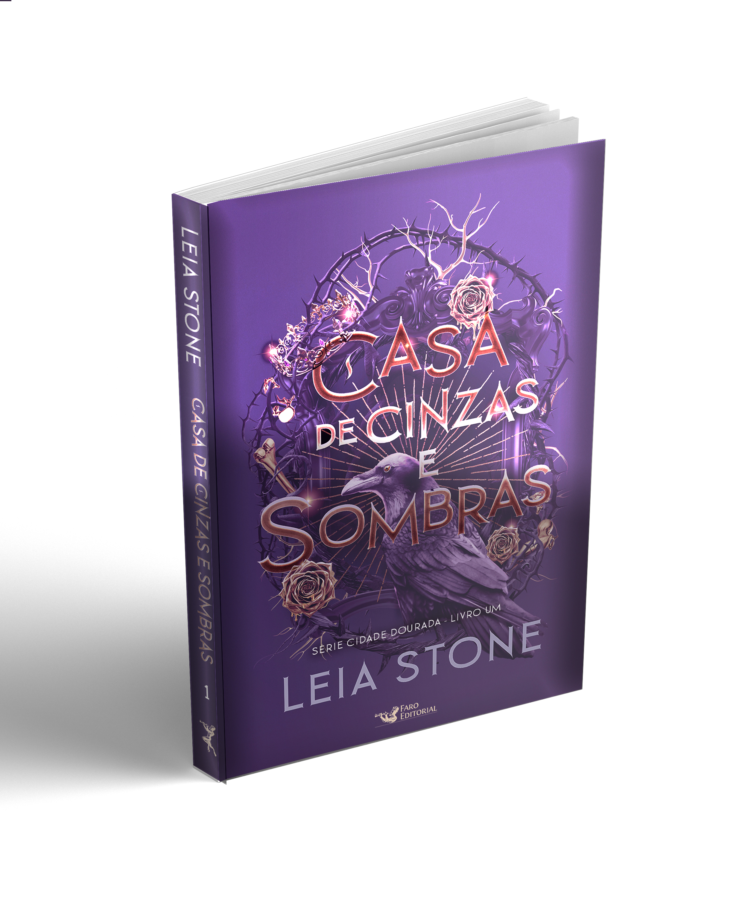 Casa de cinzas e sombras