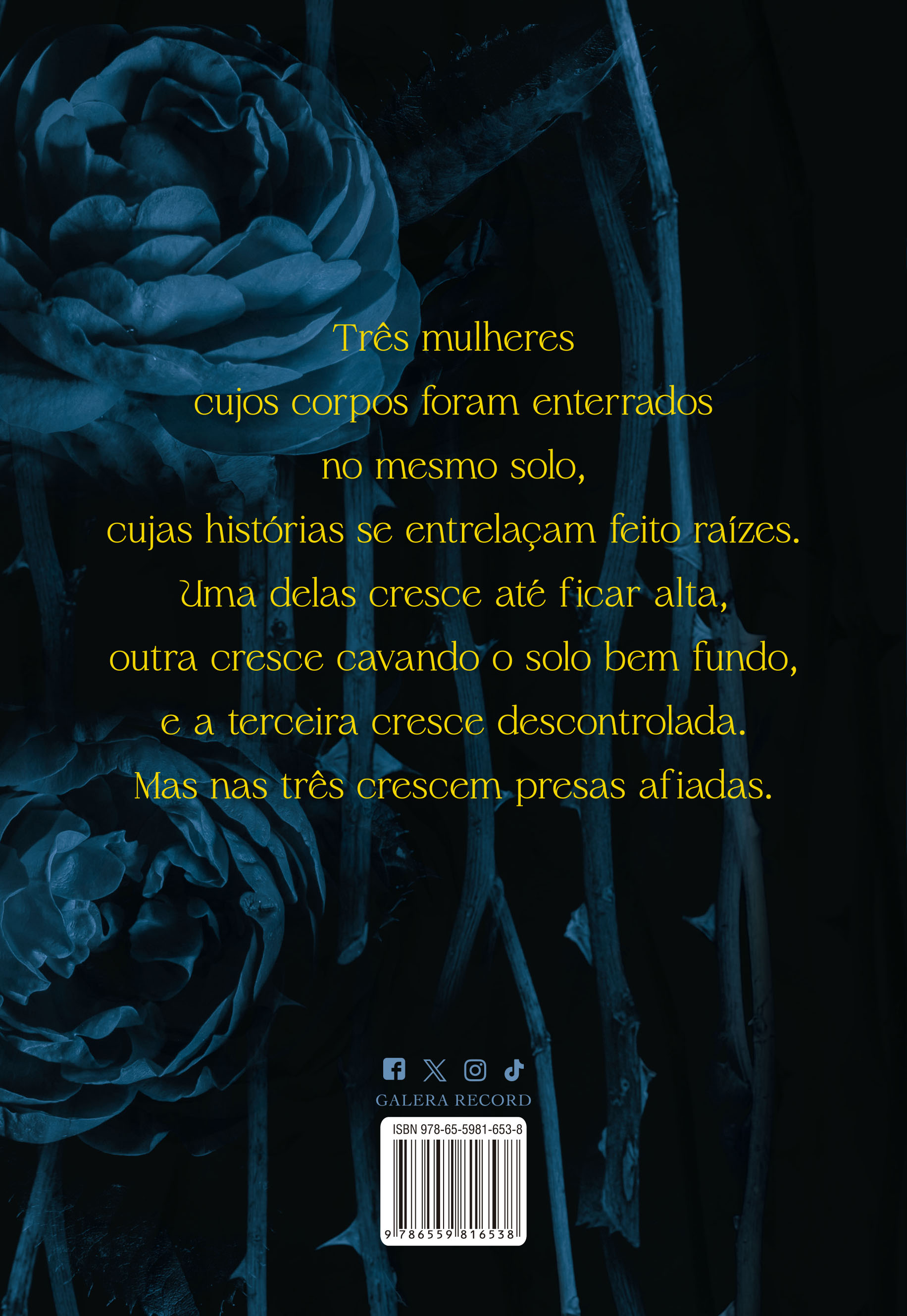 Enterrem nossos ossos à meia-noite