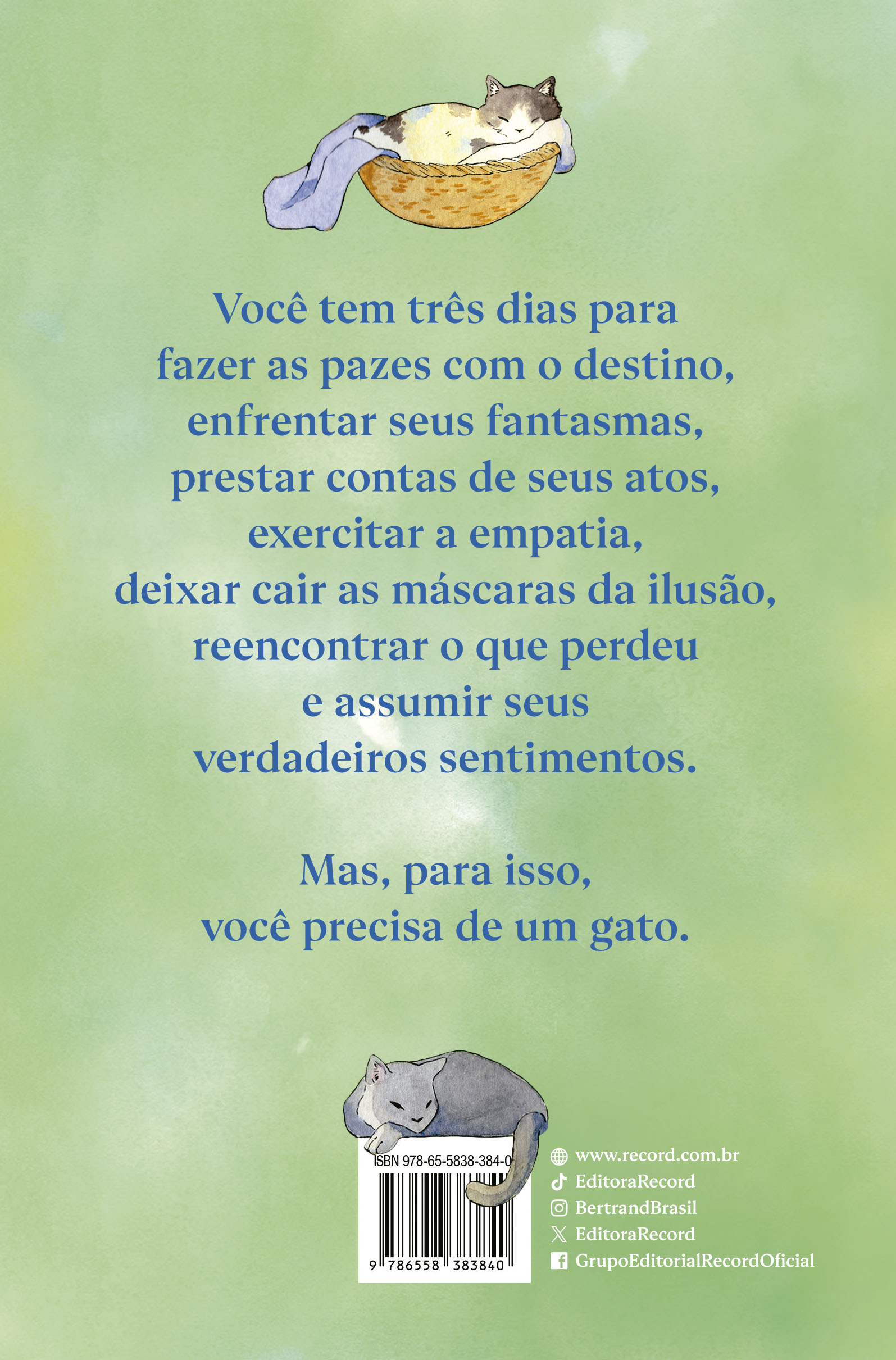 Você precisa de um gato