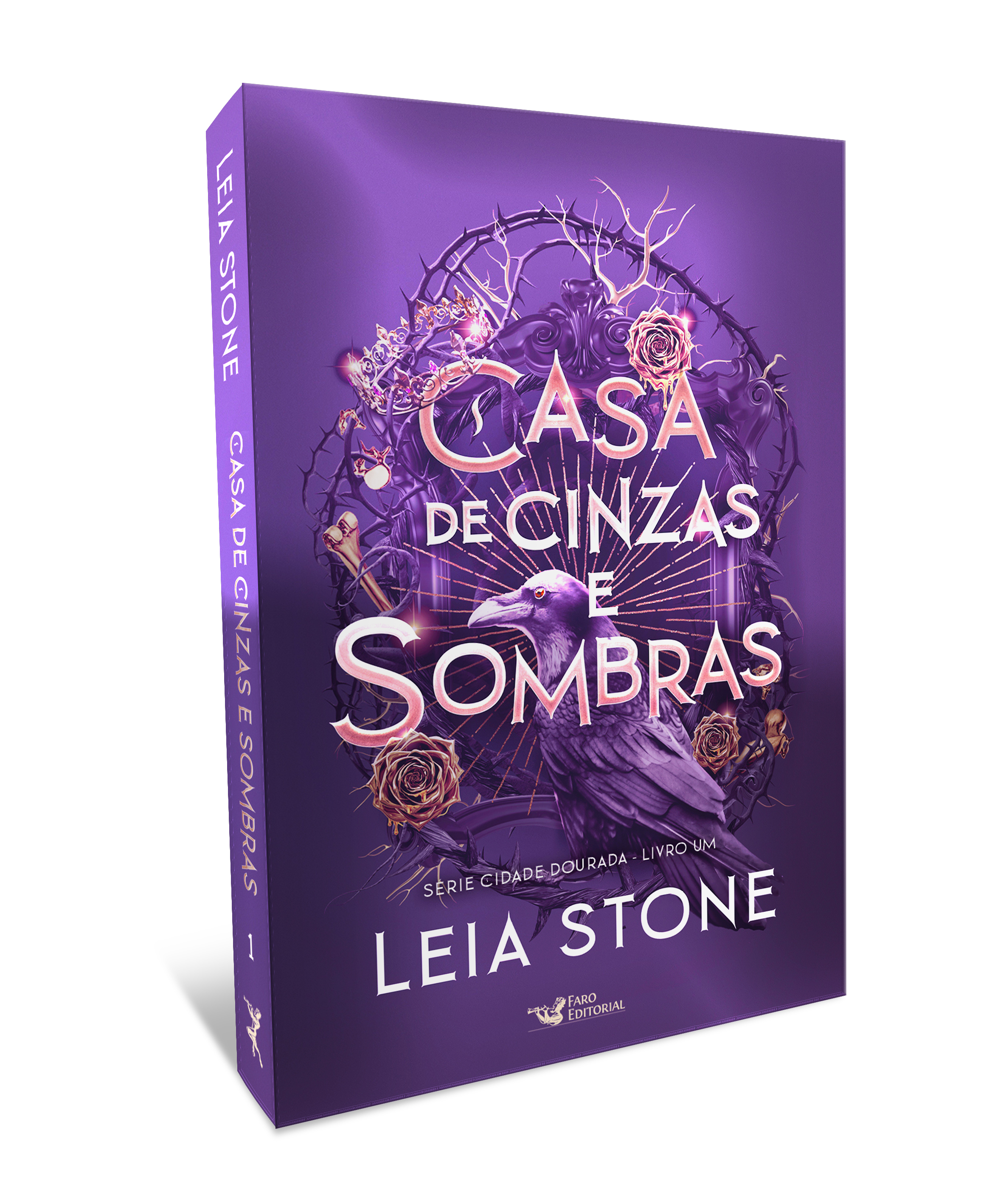 Casa de cinzas e sombras