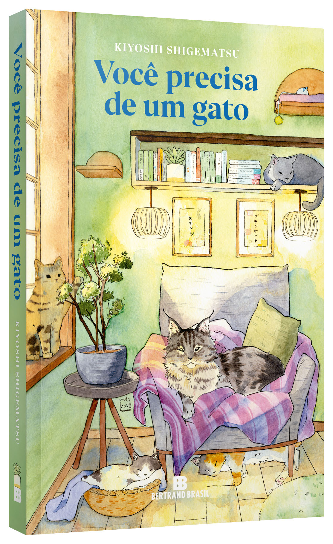 Você precisa de um gato