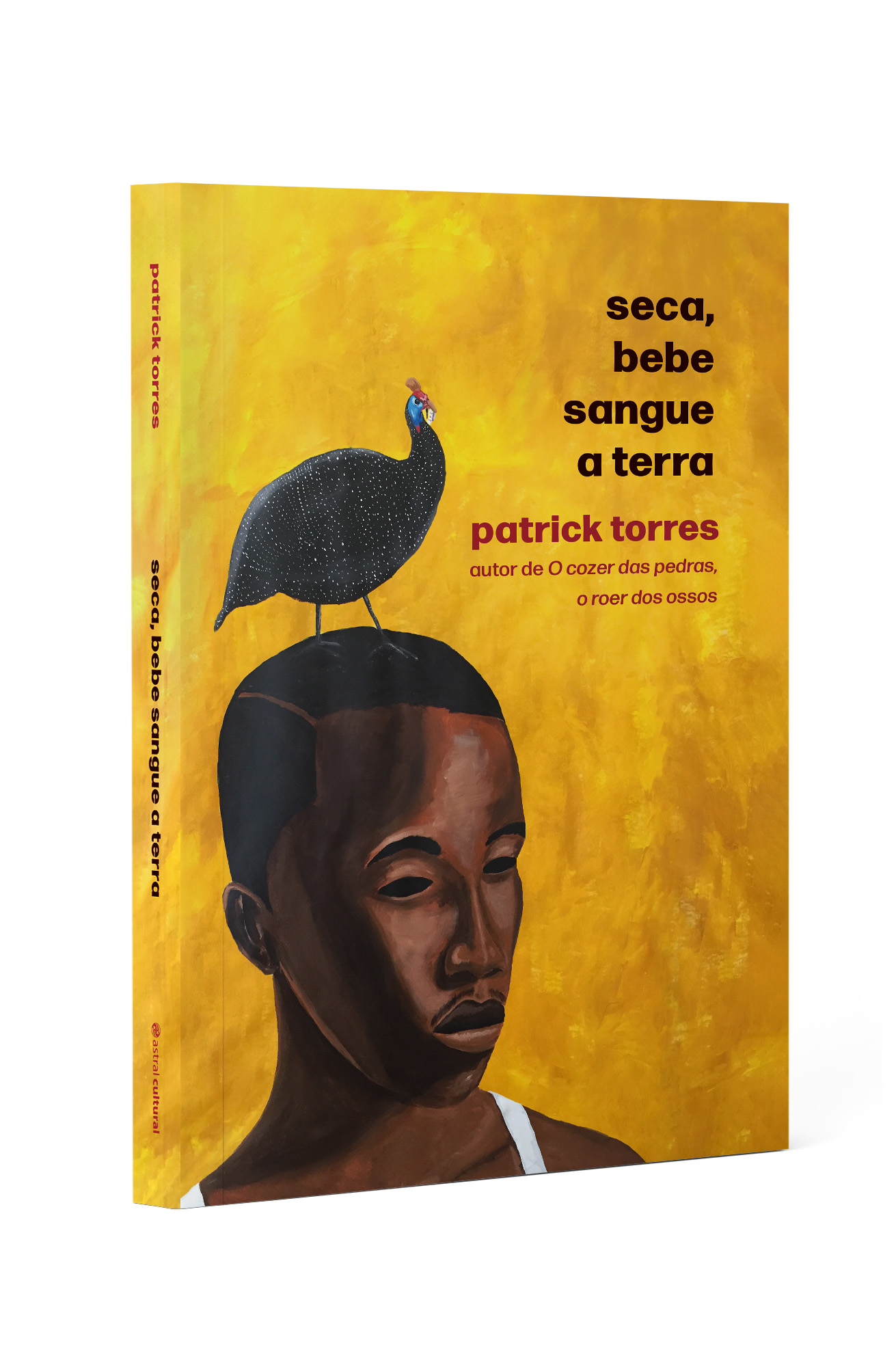 Seca, bebe sangue a terra