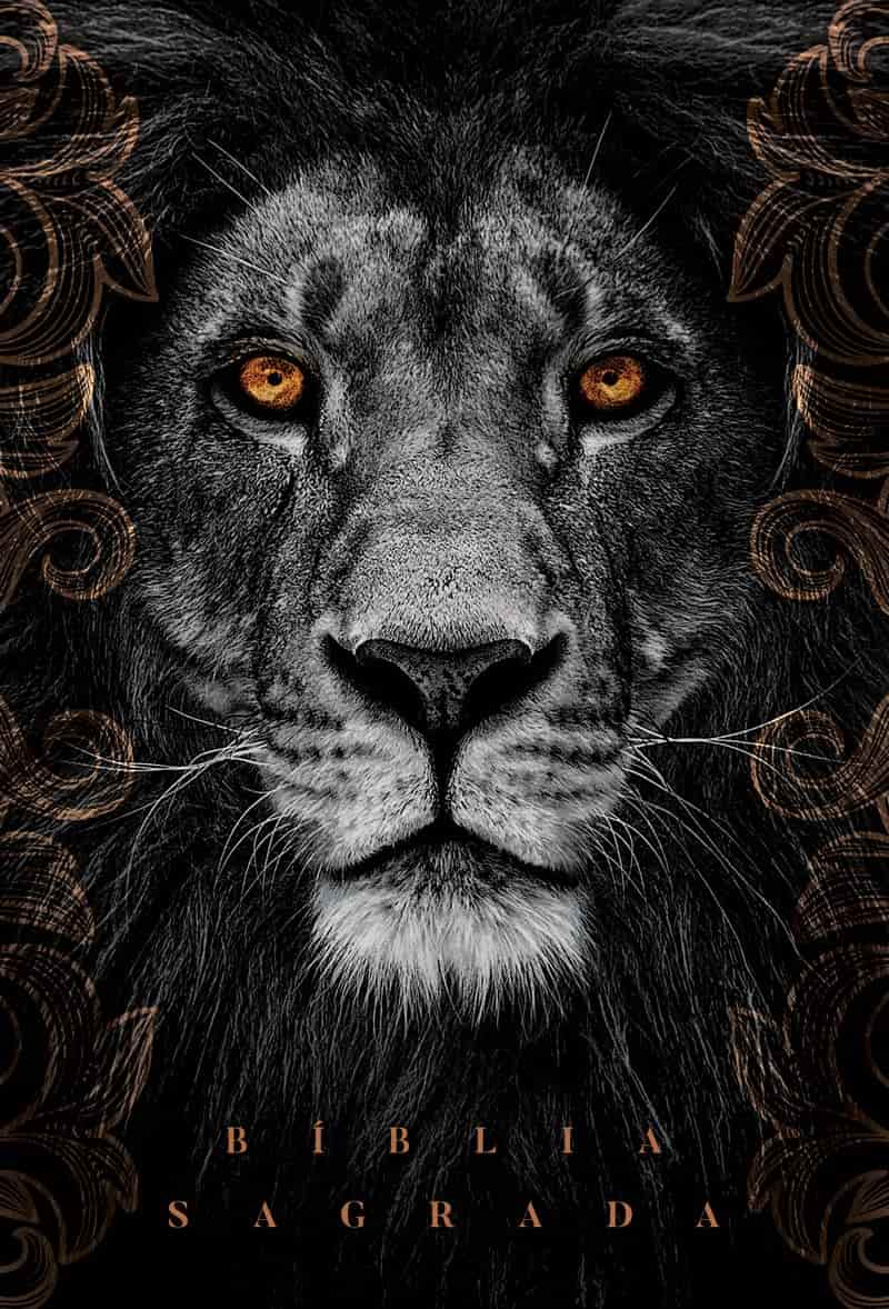 Biblia naa leao cinza