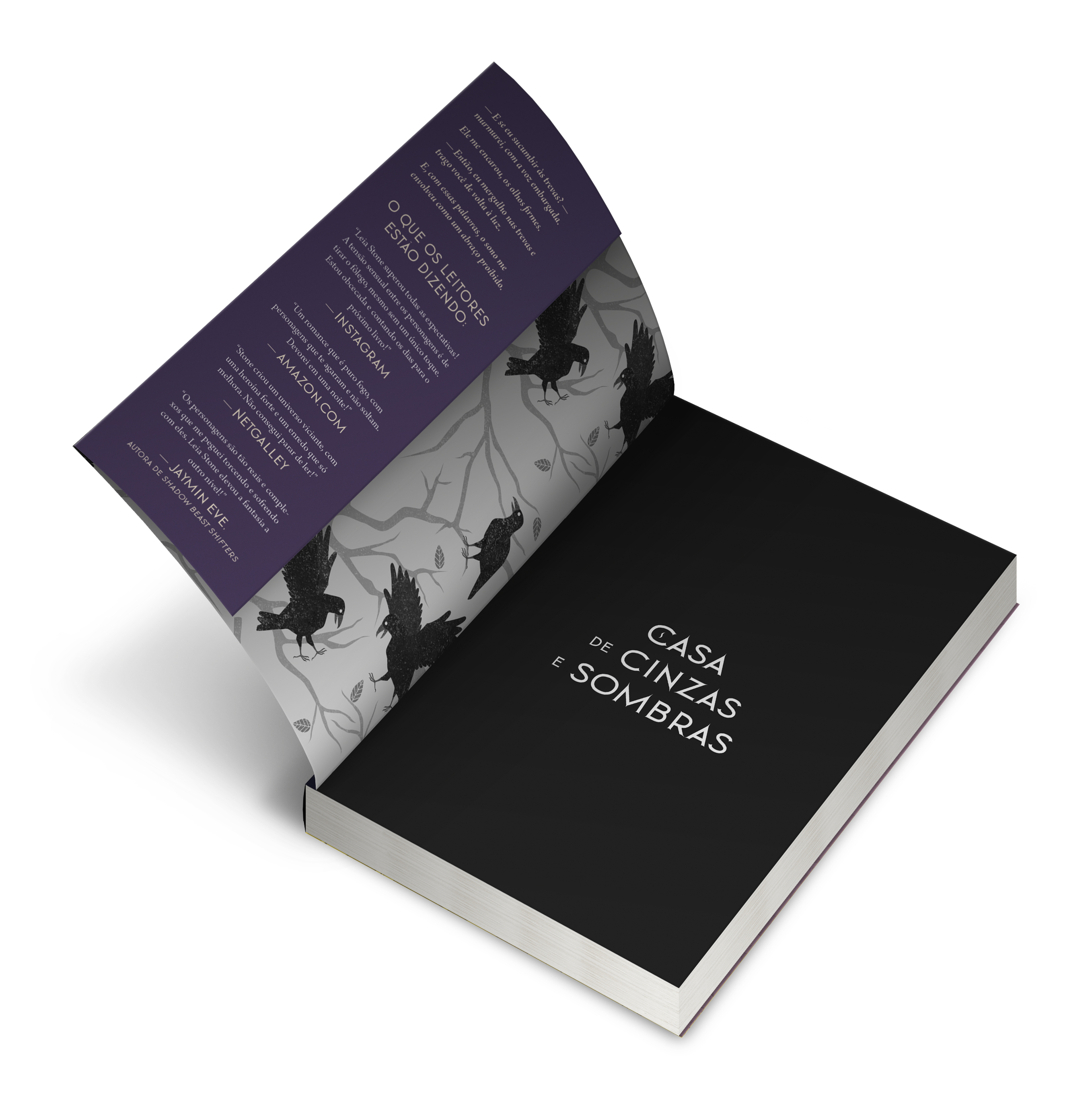 Casa de cinzas e sombras